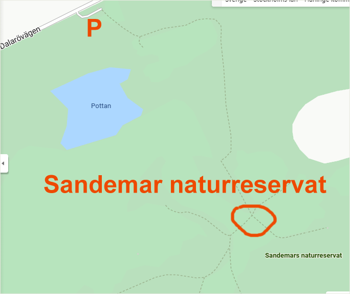 sandemar